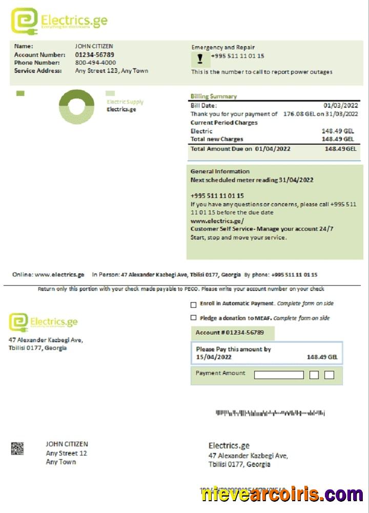 Georgia Electricsge electricity bill